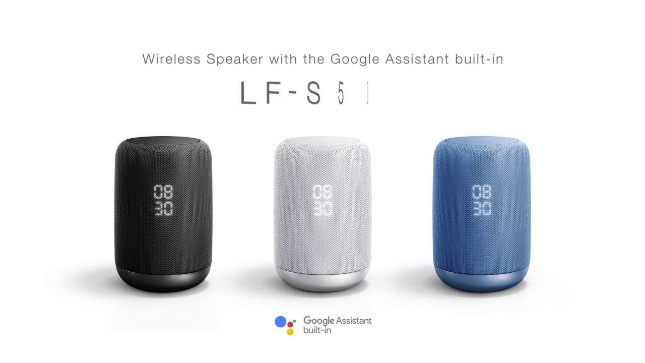 sony with google assistant