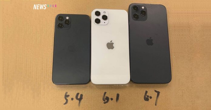 Dummy units reveal actual appearance of iPhone 12 lineup