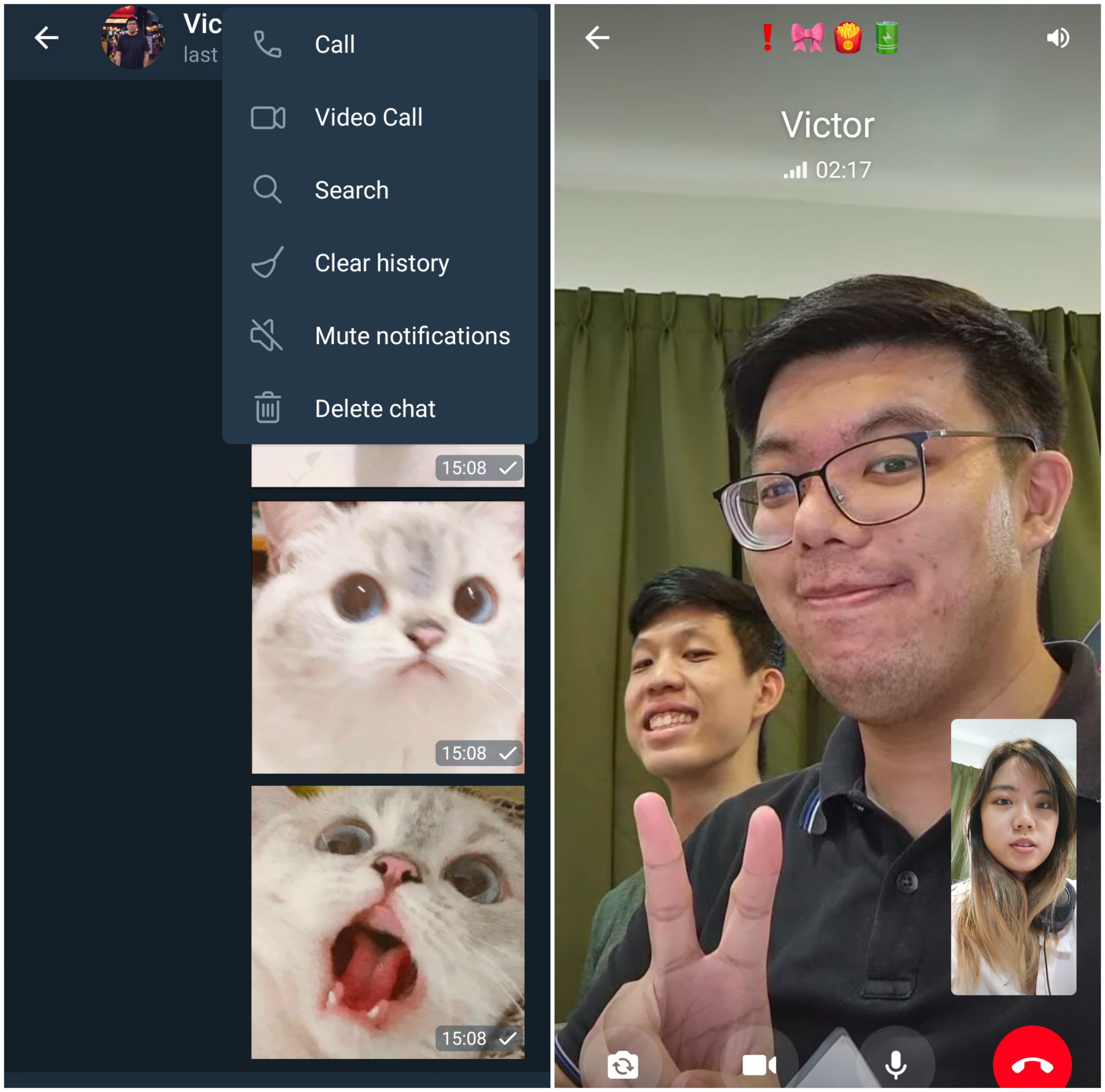 Telegram video call, telegram