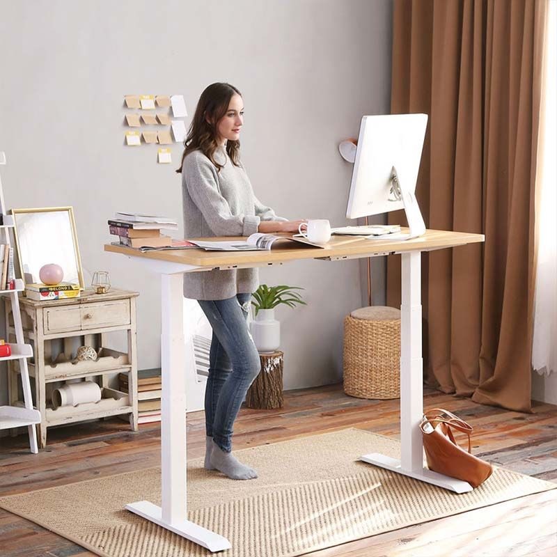 flexispot standdesk