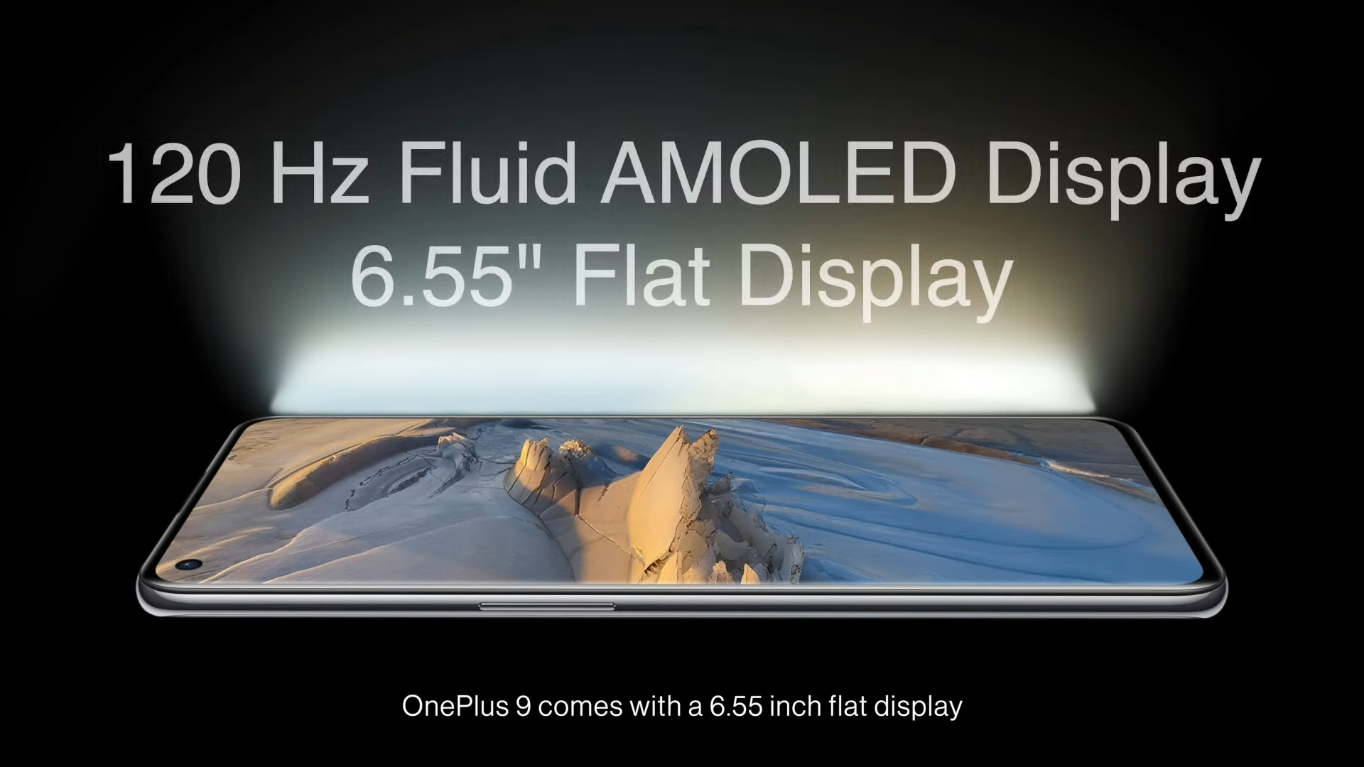 OnePlus 9 display