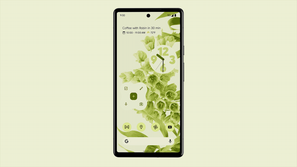 pixel 6 design