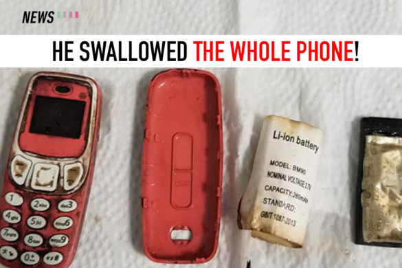Nokia 3310, L8STAR BM90