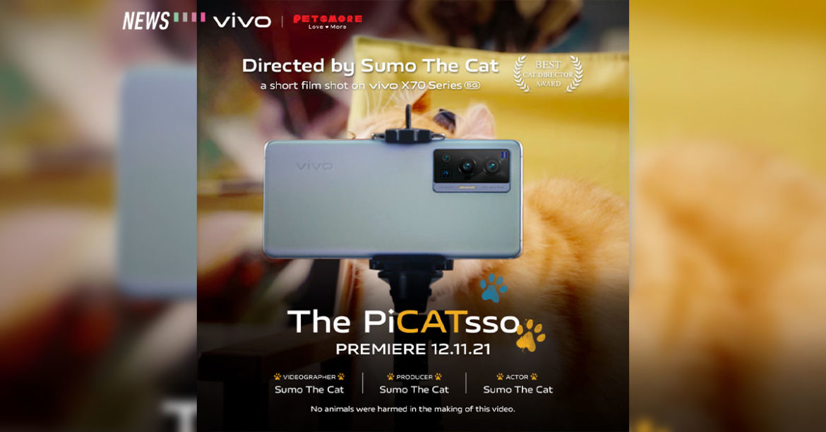 PiCATsso Feature img