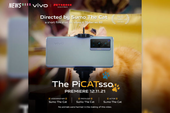 PiCATsso Feature img